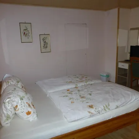 Gaestehaus Binder Obertraun