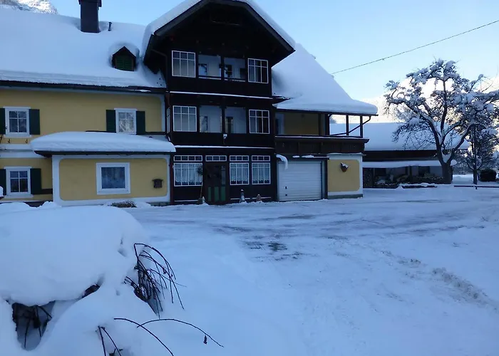 Binder Apartment Obertraun